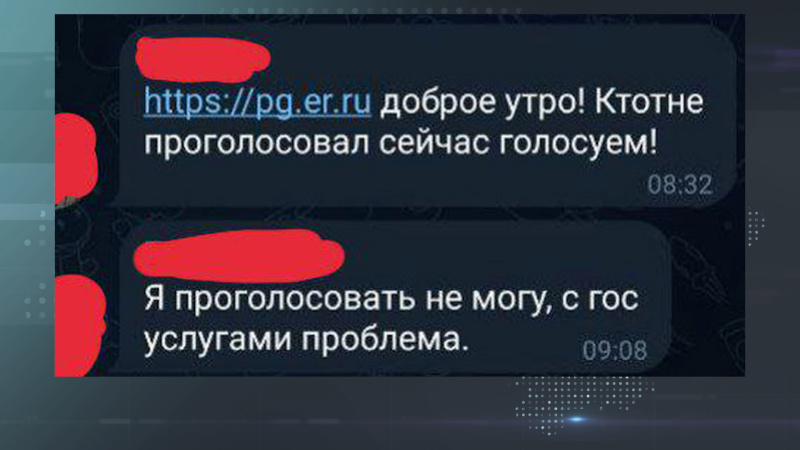 Принуждают голосовать 2024. Скрин что проголосовал на выборах. Скрин проголосовавшего. Скриншот что проголосовал. Скриншот что проголосовал на выборах.