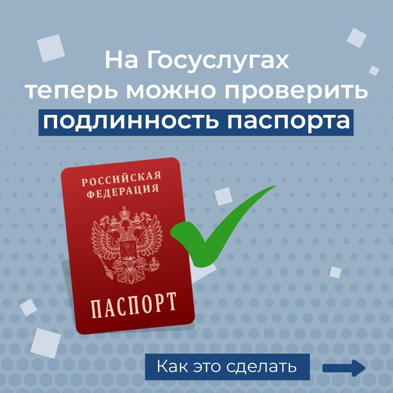 Проверка паспортов: новый сервис - к услугам жителей Хакасии | 09.11.2023 |  Абакан - БезФормата